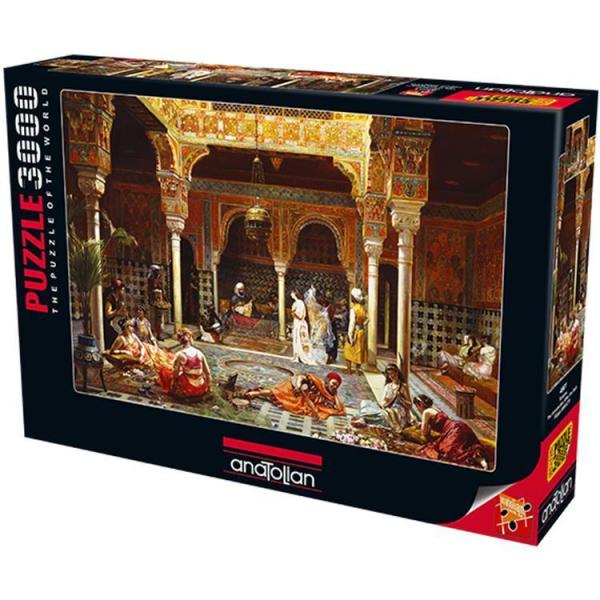 Anatolian Puzzle 3000 Parça Tanışma 4901
